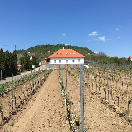 Hotel Somlo Kolonics Kuria Somlovasarhely Exteriér fotografie