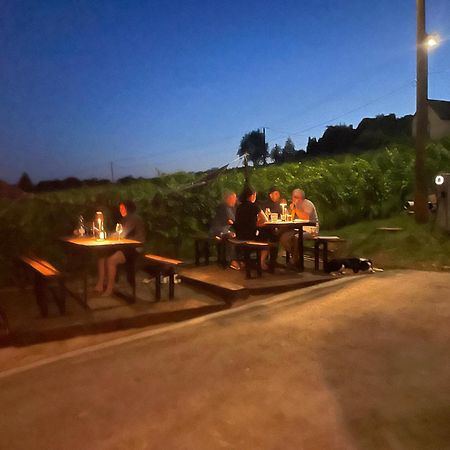 Hotel Somlo Kolonics Kuria Somlovasarhely Exteriér fotografie