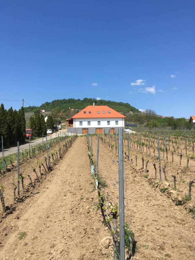 Hotel Somlo Kolonics Kuria Somlovasarhely Exteriér fotografie