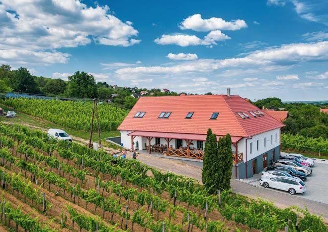 Hotel Somlo Kolonics Kuria Somlovasarhely Exteriér fotografie