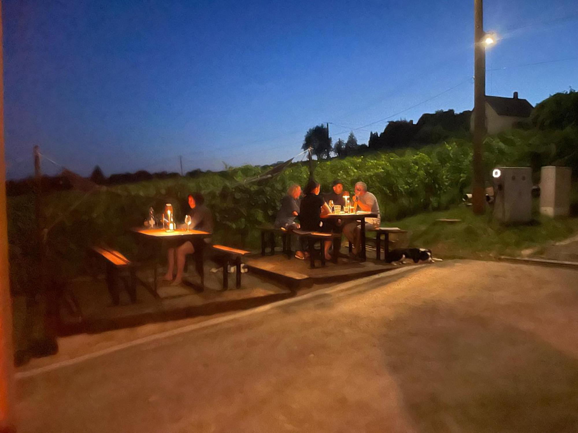 Hotel Somlo Kolonics Kuria Somlovasarhely Exteriér fotografie