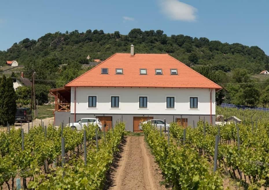 Hotel Somlo Kolonics Kuria Somlovasarhely Exteriér fotografie
